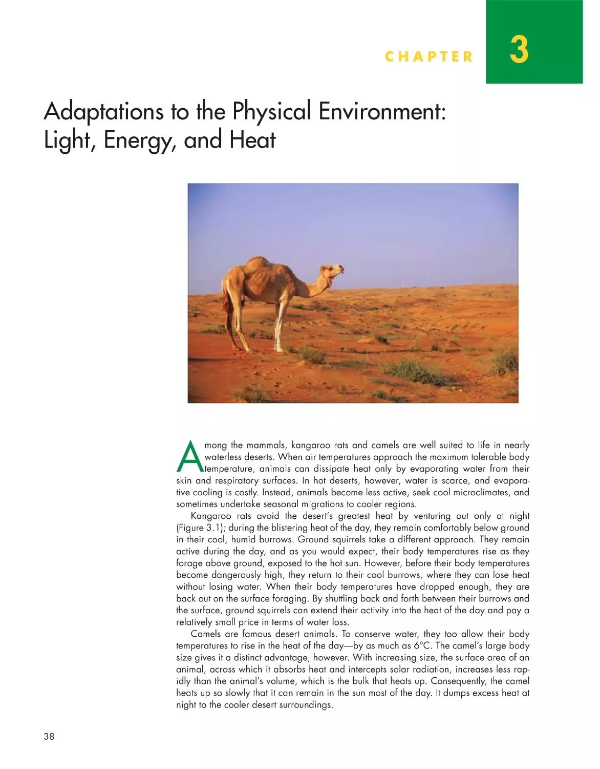 Chapter 3: Adaptations to the Physical Environment: Light, Energy, and Heat