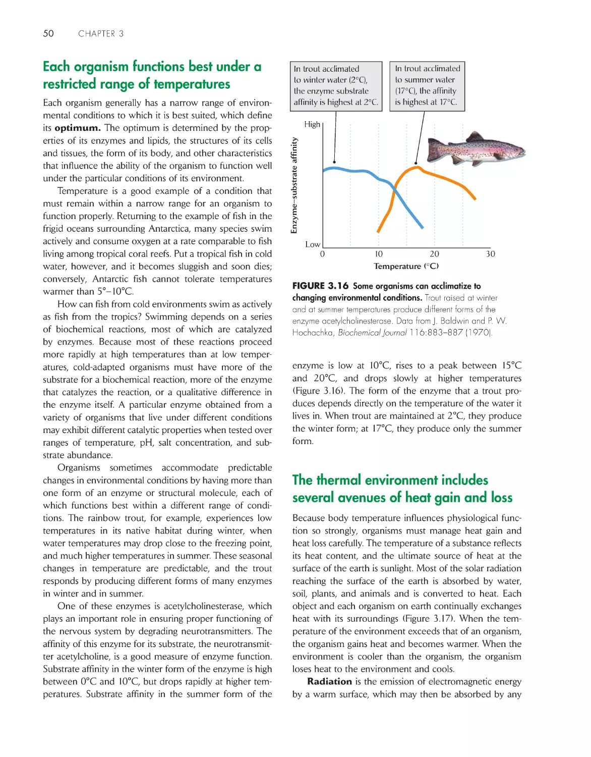 Each organism functions best under a re
stricted range of temperatures
The thermal environment includes several avenues of heat gain and loss