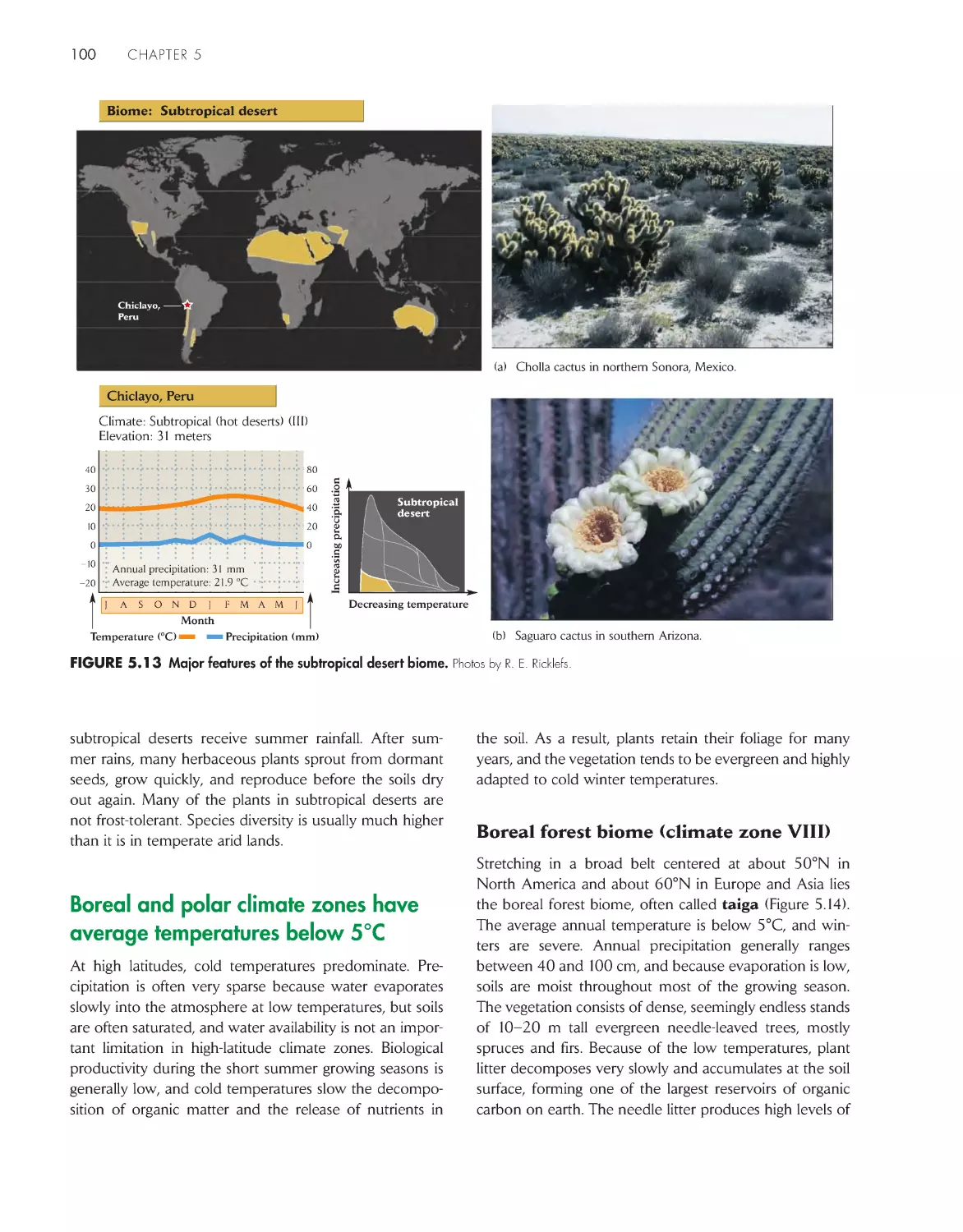 Boreal and polar climate zones have average temperatures below 5°C