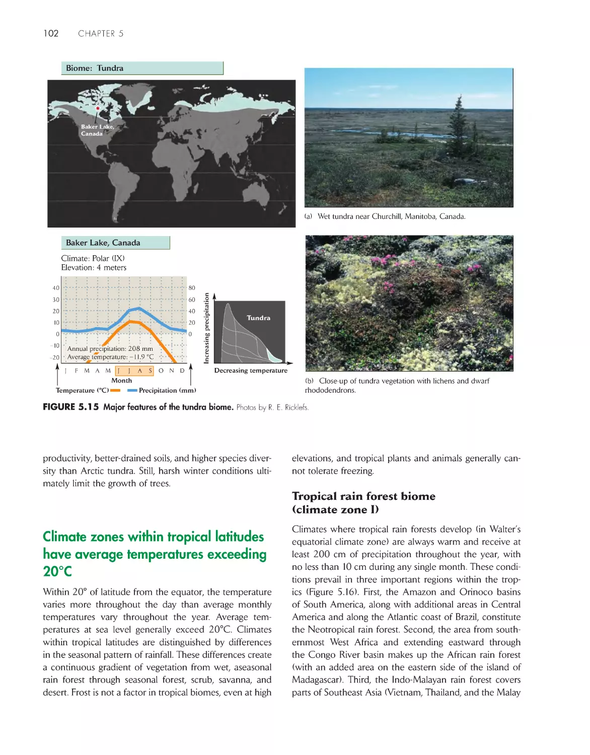 Climate zones within tropical latitudes have average temperatures exceeding 20°C