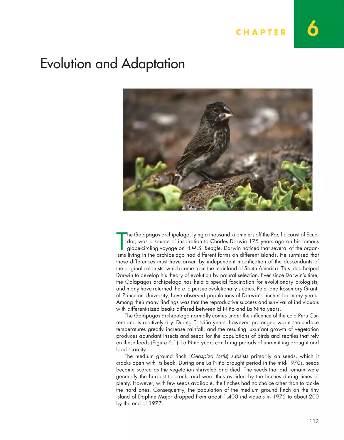 Chapter 6: Evolution and Adaptation