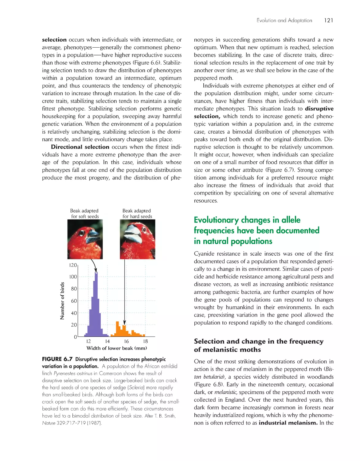 Evolutionary changes in allele frequencies have been documented in natural populations