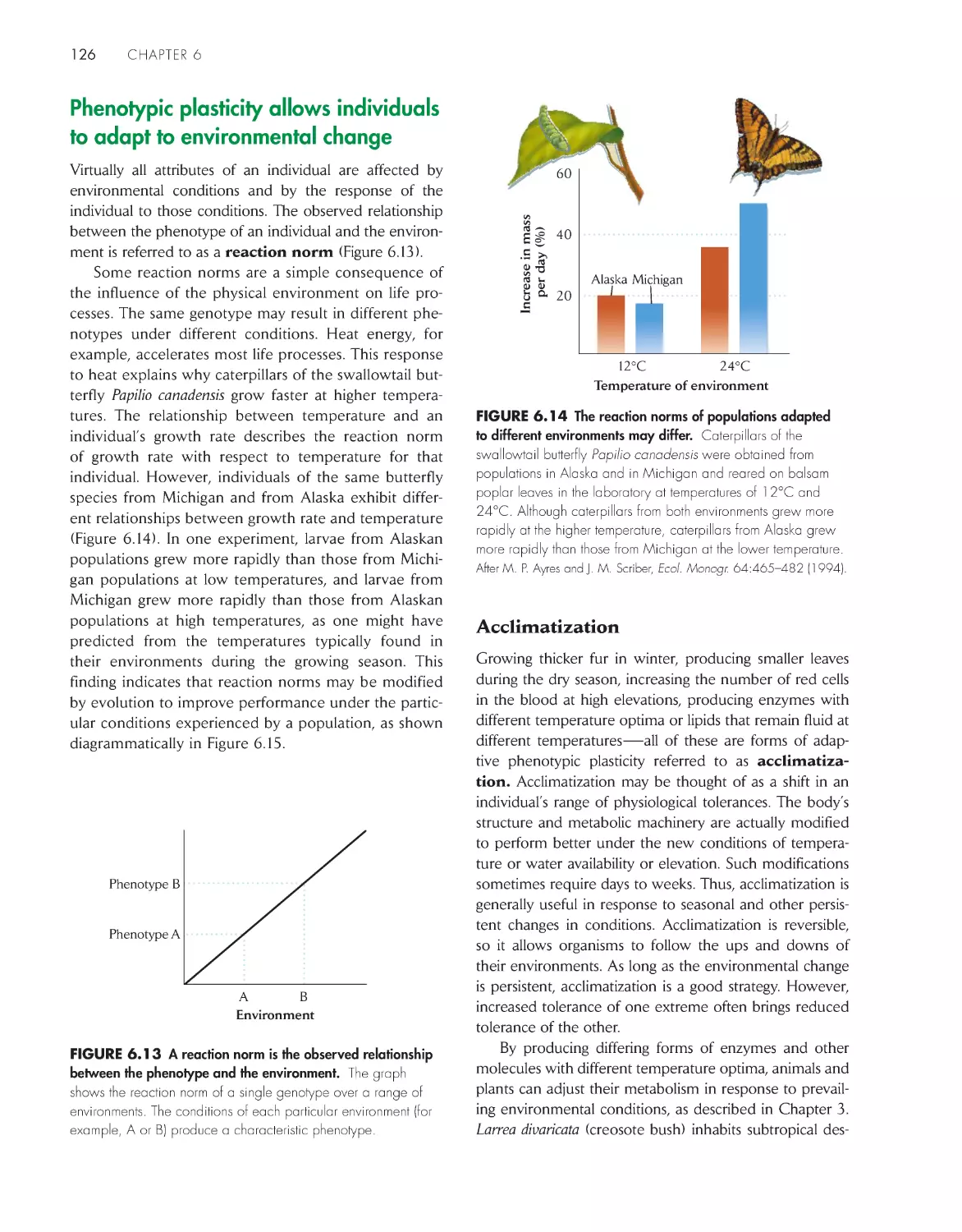 Phenotypic plasticity allows individuals to adapt to environmental change