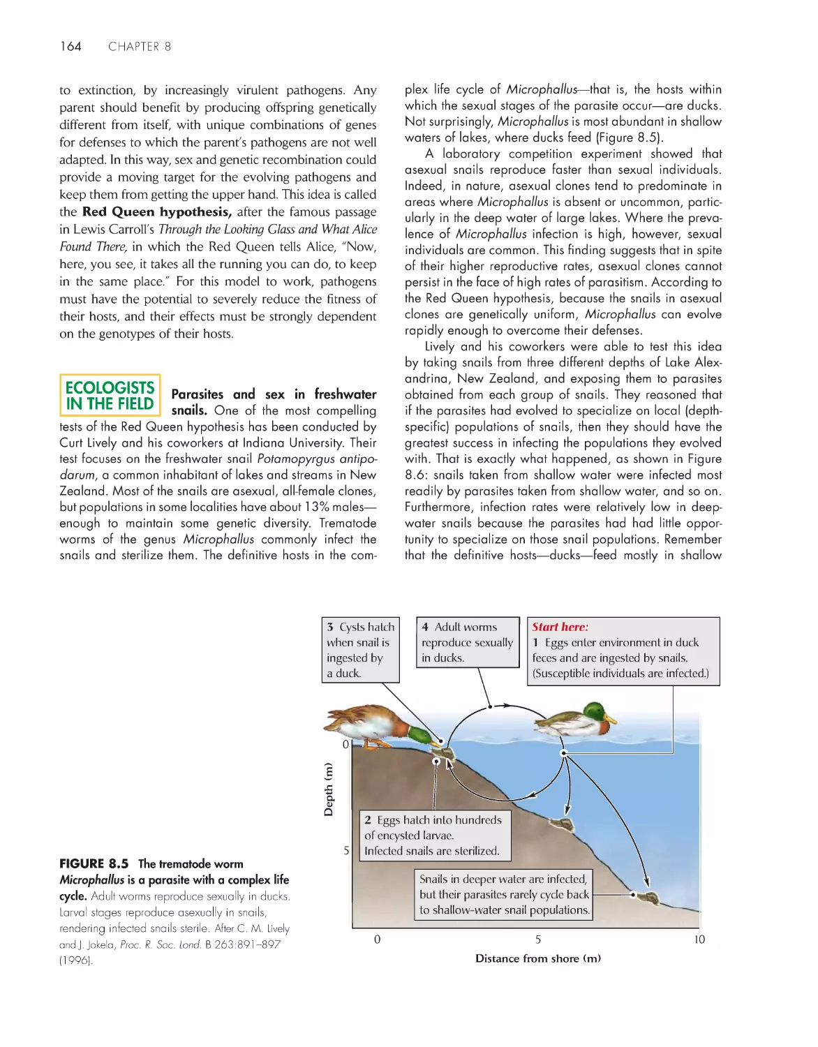 Ecologists in the Field: Parasites and sex in fresh water snails.