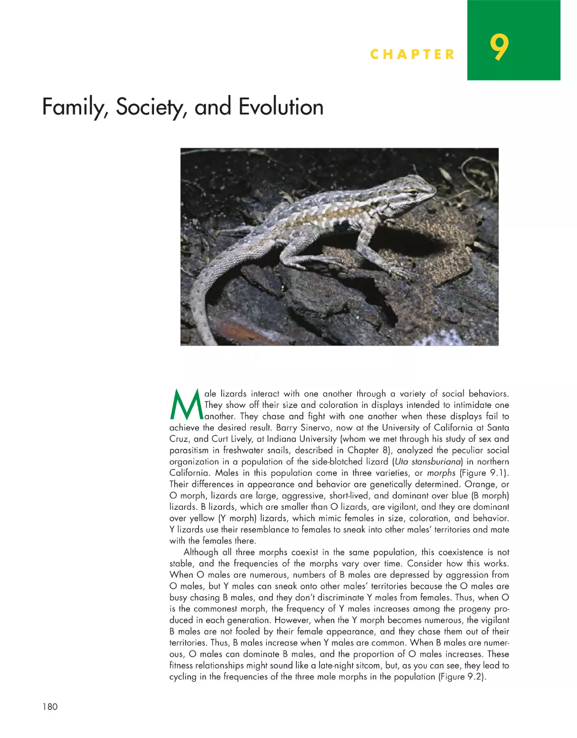 Chapter 9: Family, Society, and Evolution