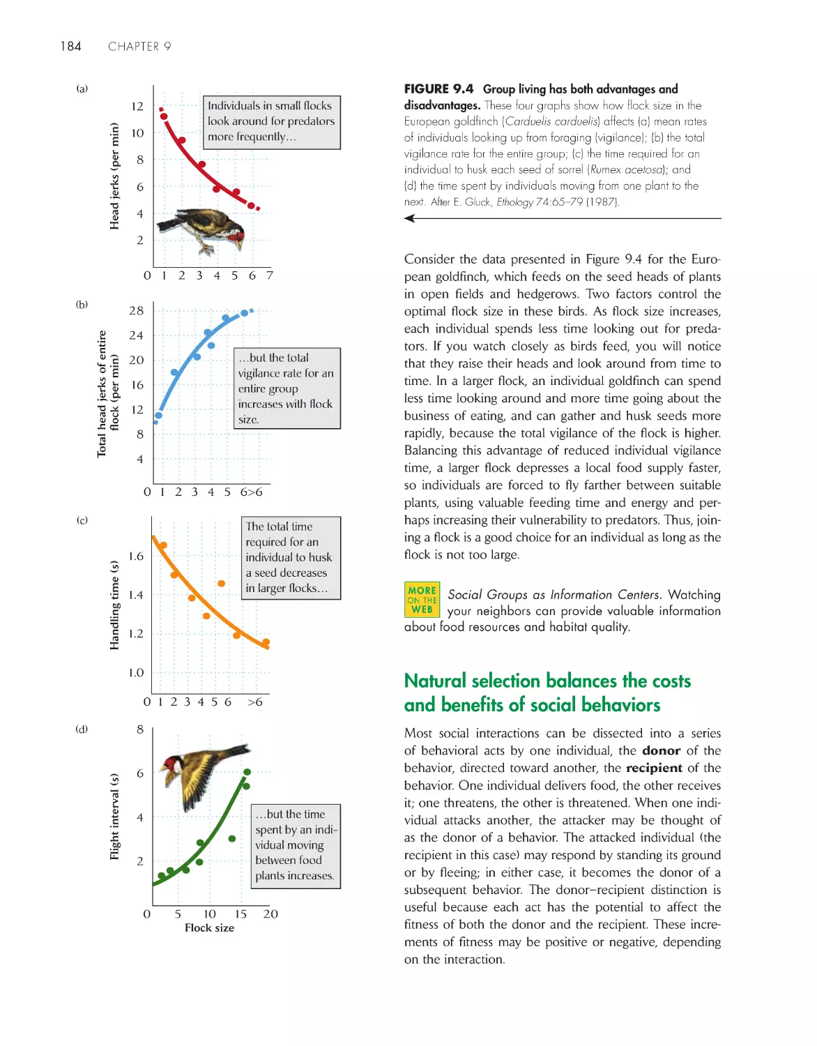 Natural selection balances the costs and benefits of social behaviors