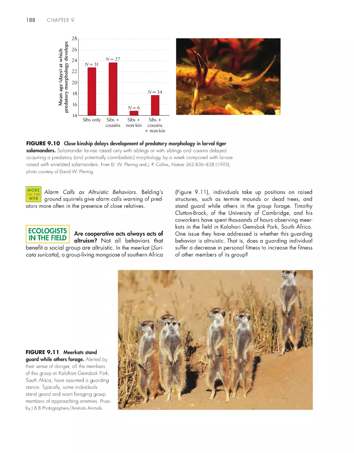 Ecologists in the Field: Are cooperative acts always acts of altruism?