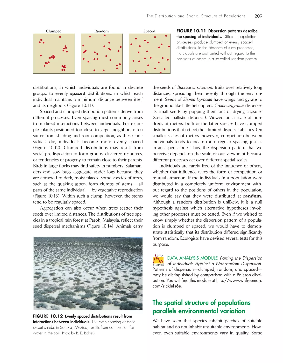 The spatial structure of populations parallels environmental variation