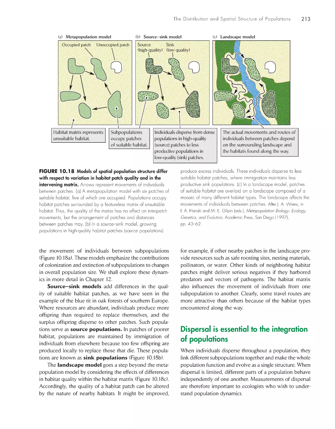 Dispersal is essential to the integration of populations