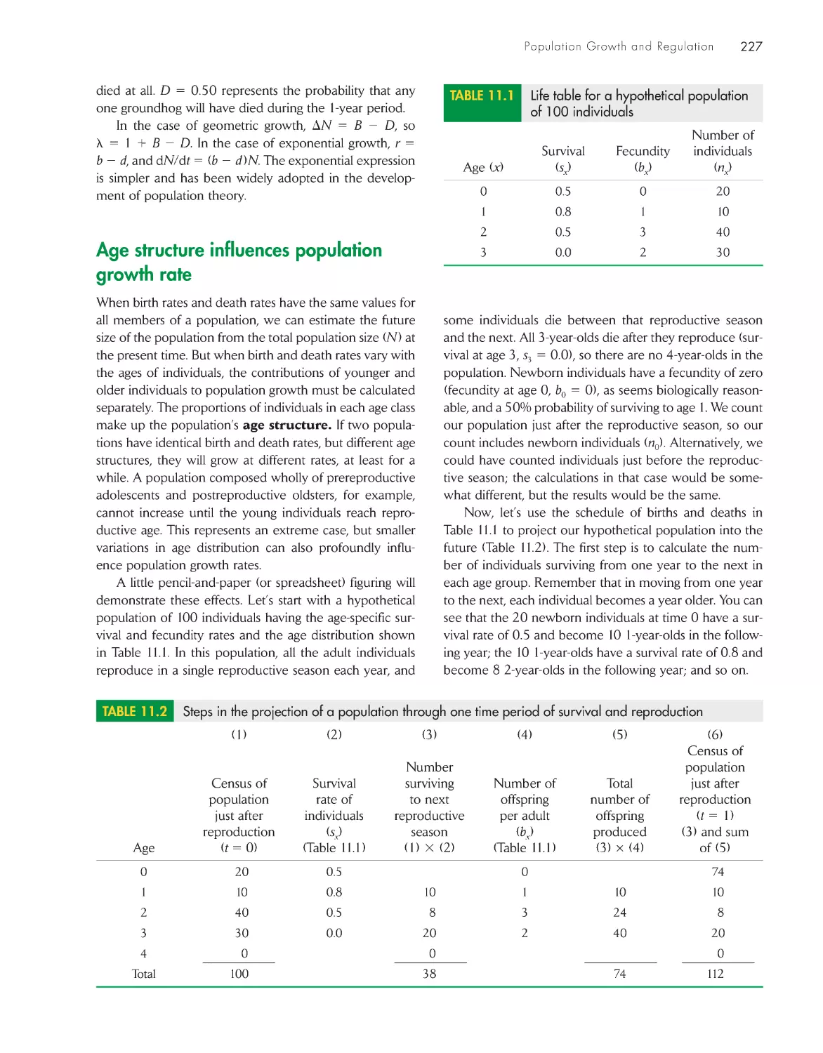 Age structure influences population growth rate