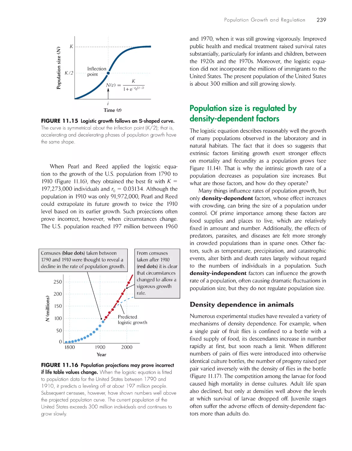 Population size is regulated by density-dependent factors