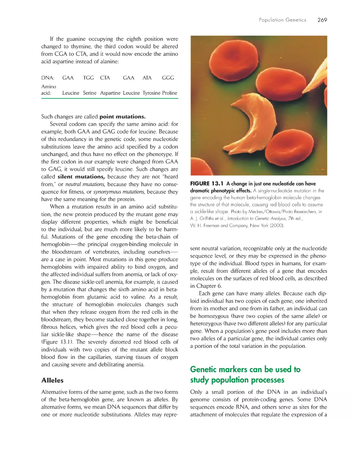 Genetic markers can be used to study population processes