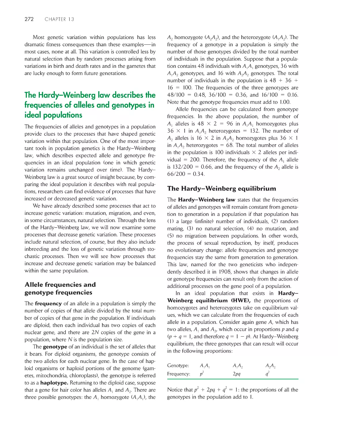 The Hardy–Weinberg law describes the frequencies of alleles and genotypes in ideal populations