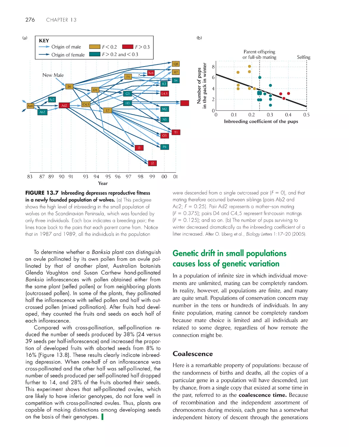 Genetic drift in small populations causes loss of genetic variation