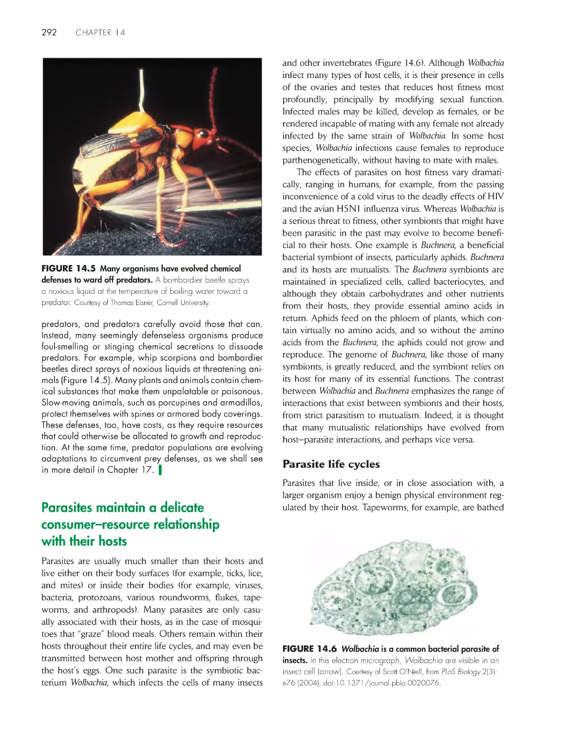 Parasites maintain a delicate consumer–resource relationship with their hosts