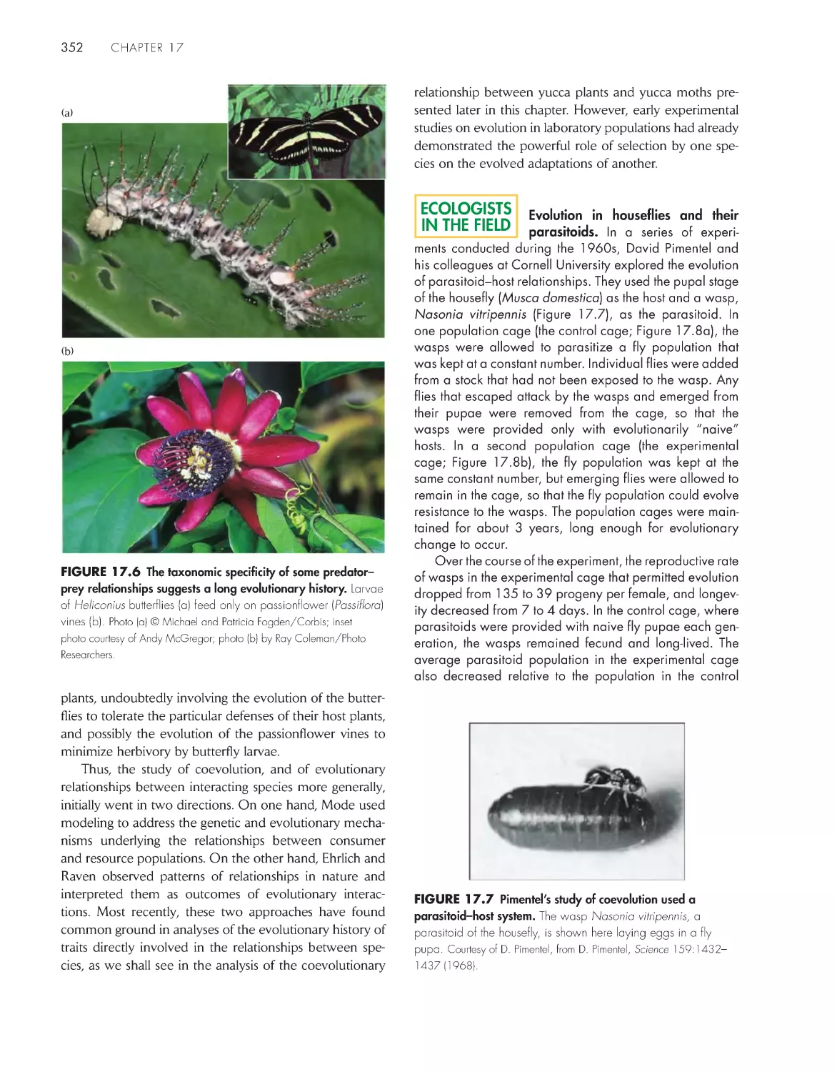 Ecologists in the Field: Evolution in houseflies and their parasitoids.