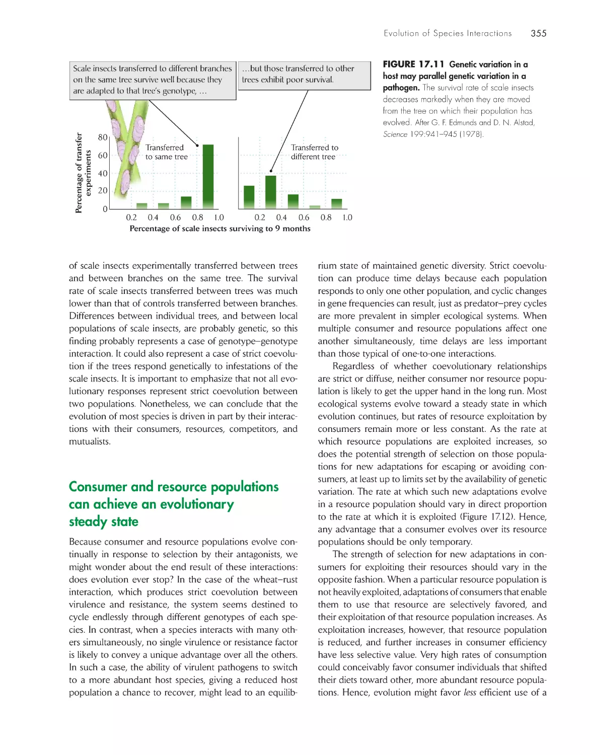 Consumer and resource populations can achieve an evolutionary steady state