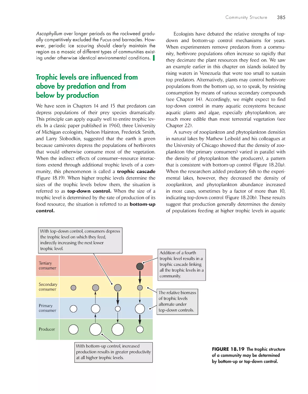 Trophic levels are influenced from above by predation and from below by production