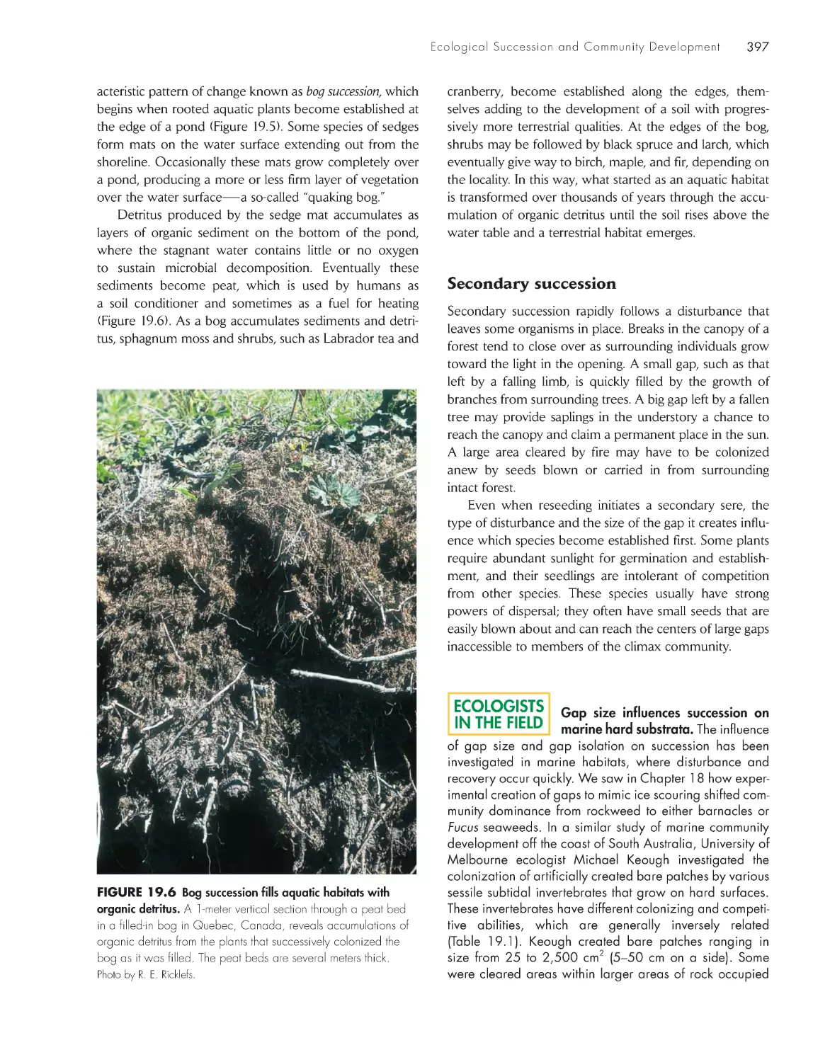 Ecologists in the Field: Gap size influences succession on marine hard substrata.