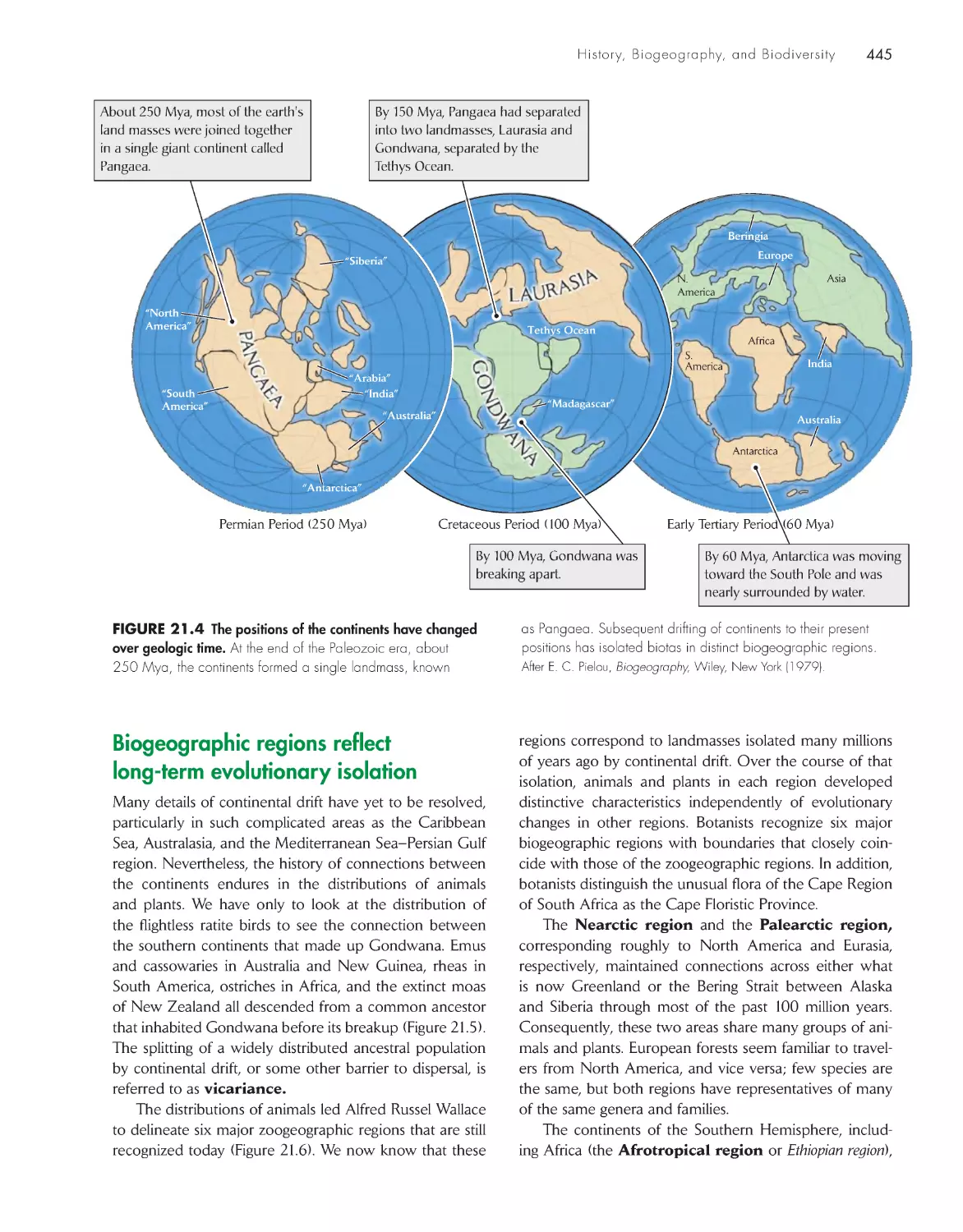 Biogeographic regions reflect long-term evolutionary isolation