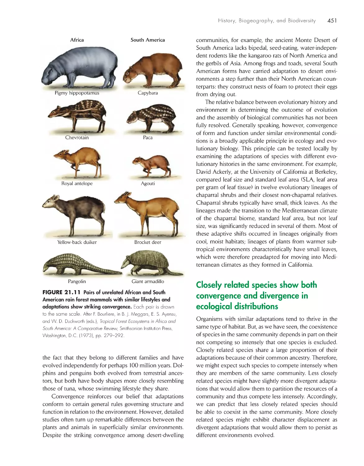 Closely related species show both convergence and divergence in ecological distributions