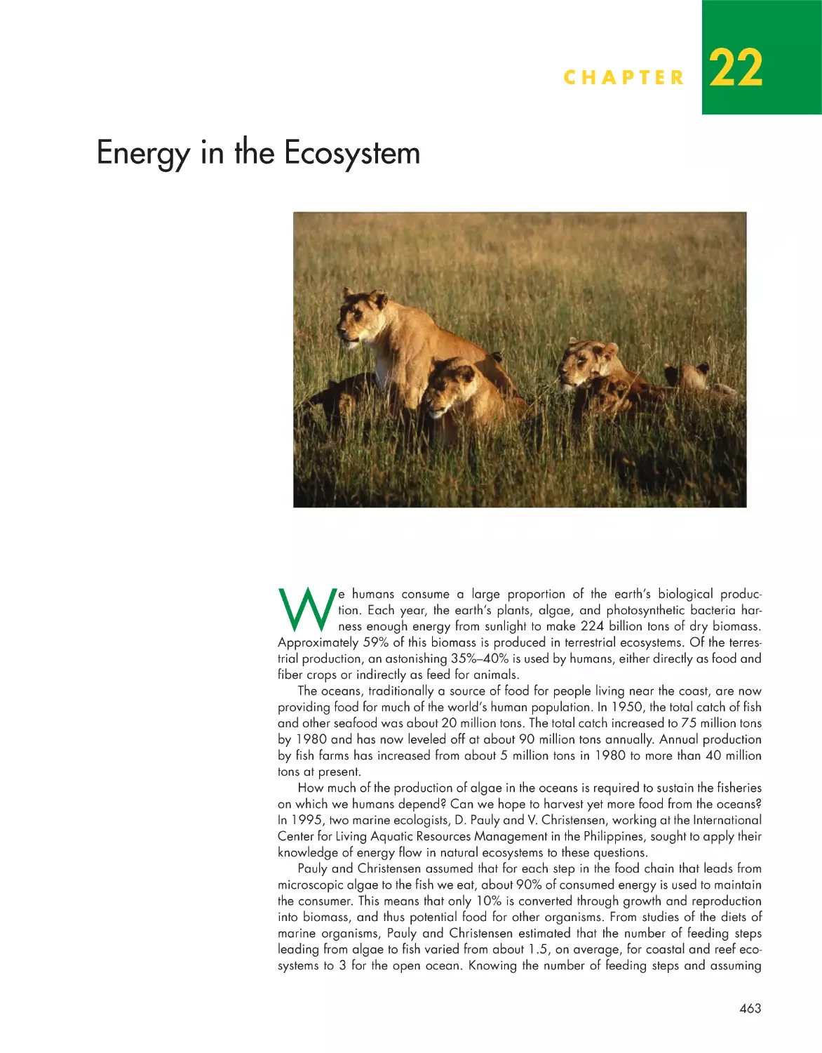 Chapter 22: Energy in the Ecosystem