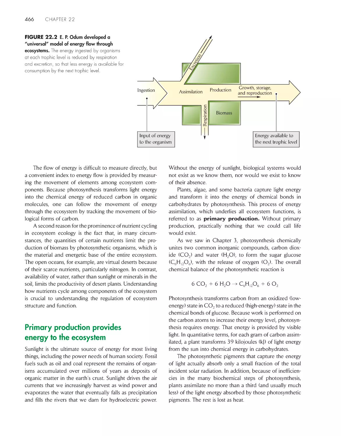 Primary production provides energy to the ecosystem