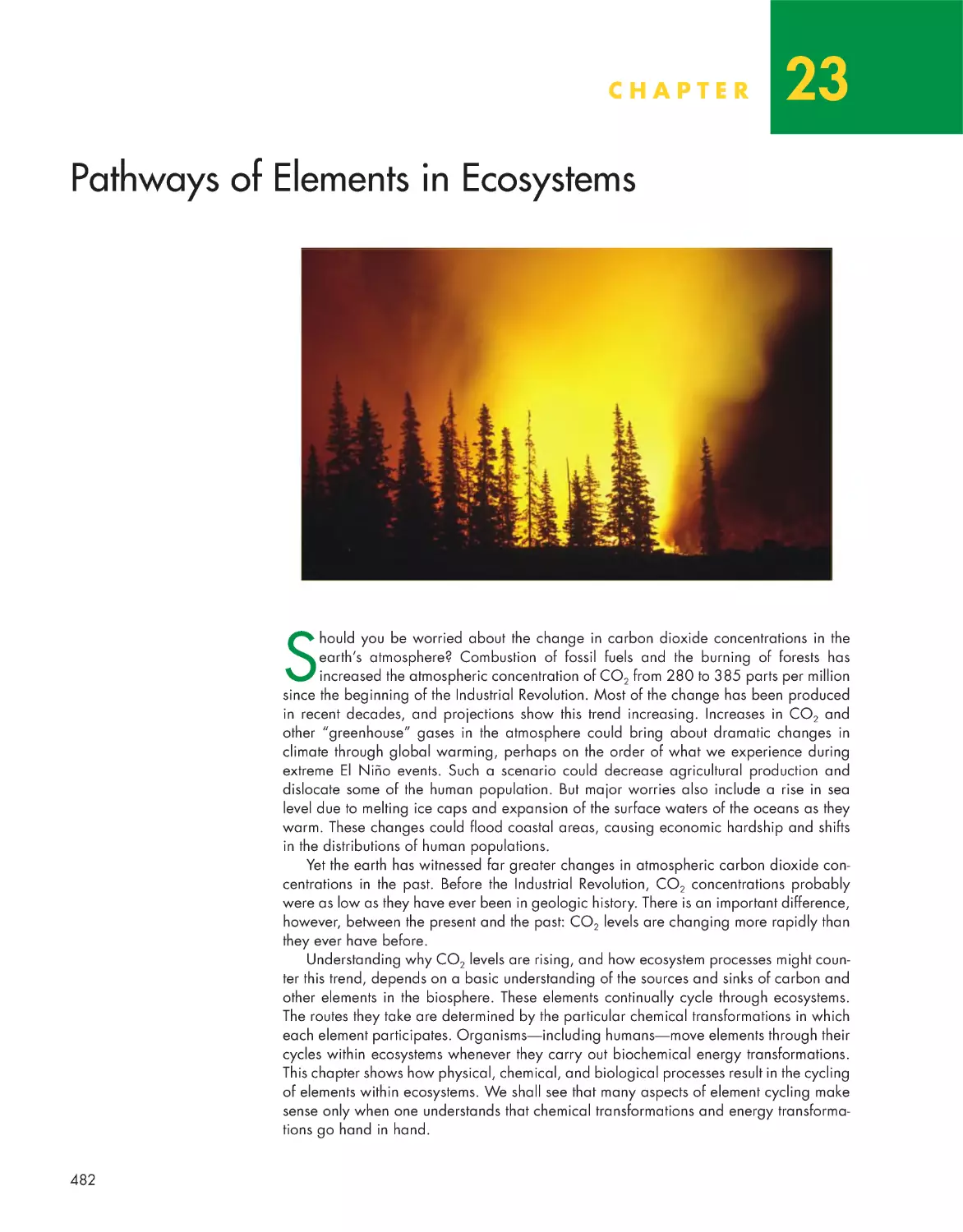 Chapter 23: Pathways of  Elements in Ecosystems