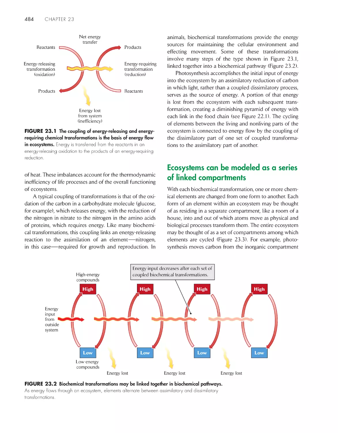 Ecosystems can be modeled as a series of linked compartments