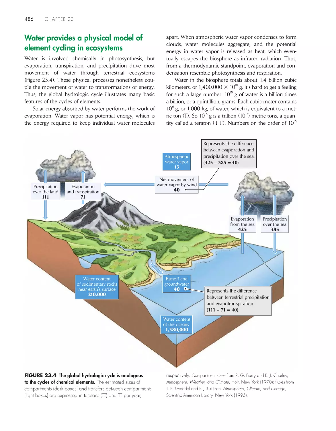 Water provides a physical model of element cycling in ecosystems