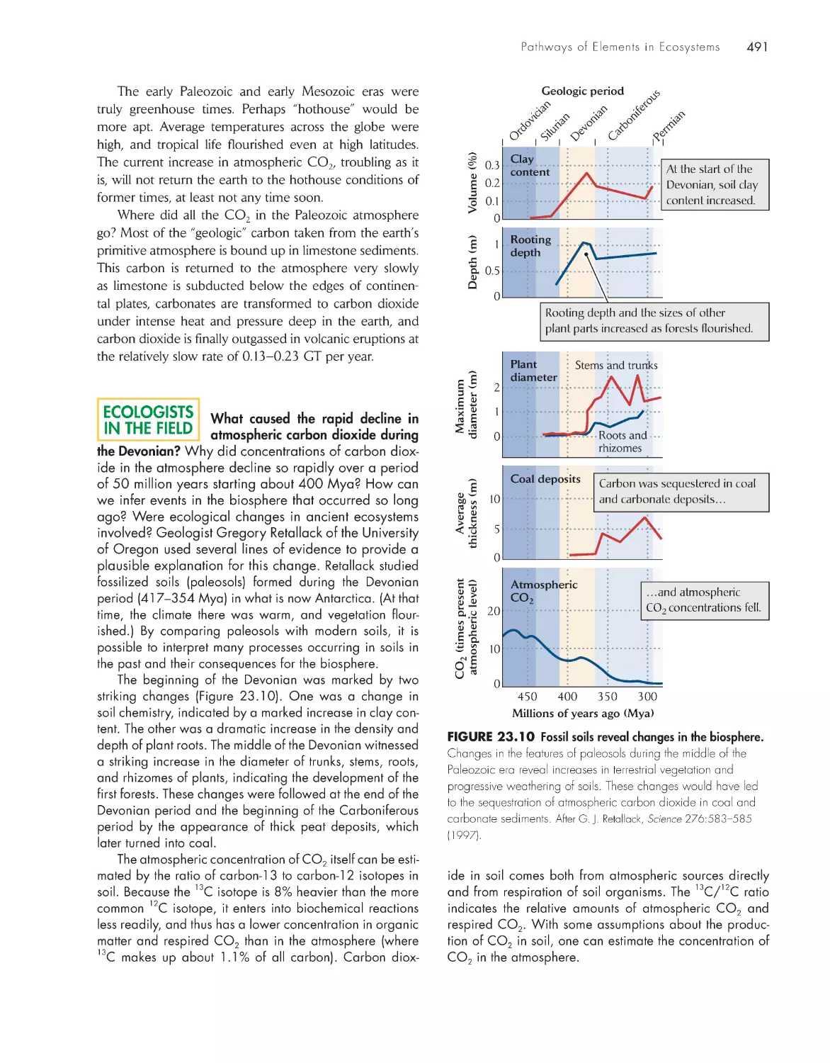 Ecologists in the Field: What caused the rapid decline in atmospheric carbon dioxide during the Devonian?