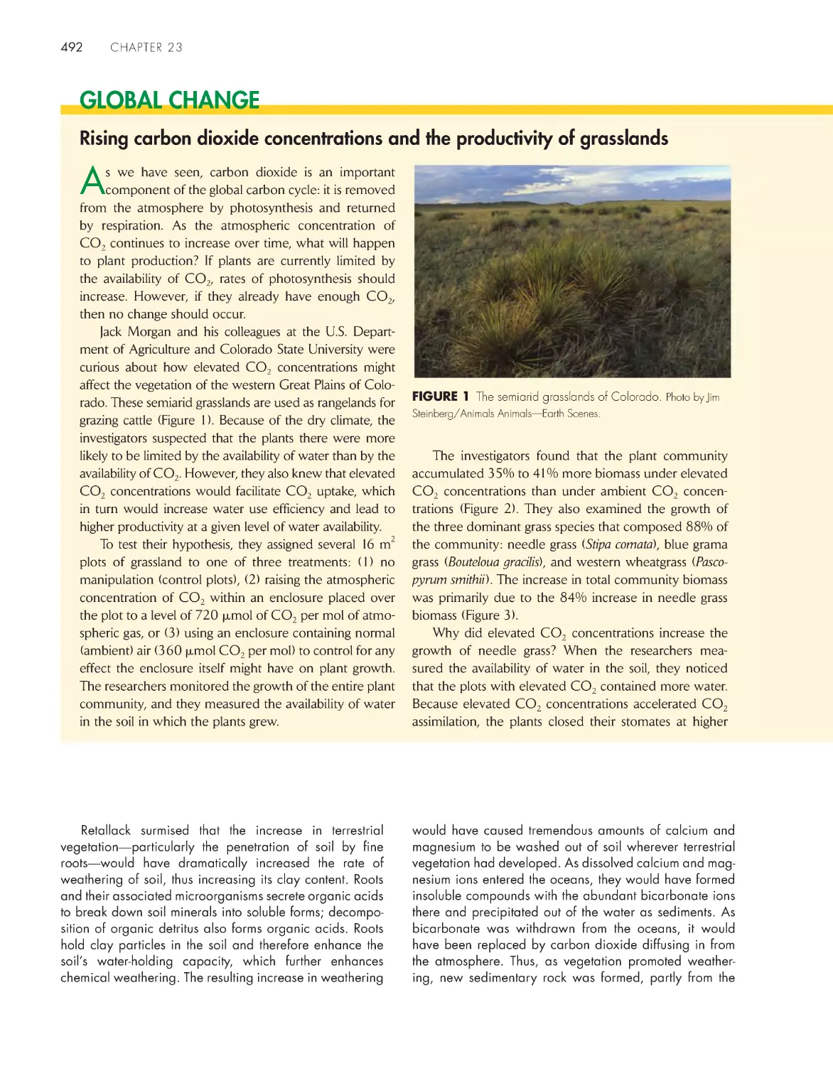 Global Change: Rising carbon dioxide concentrations and the productivity of grasslands