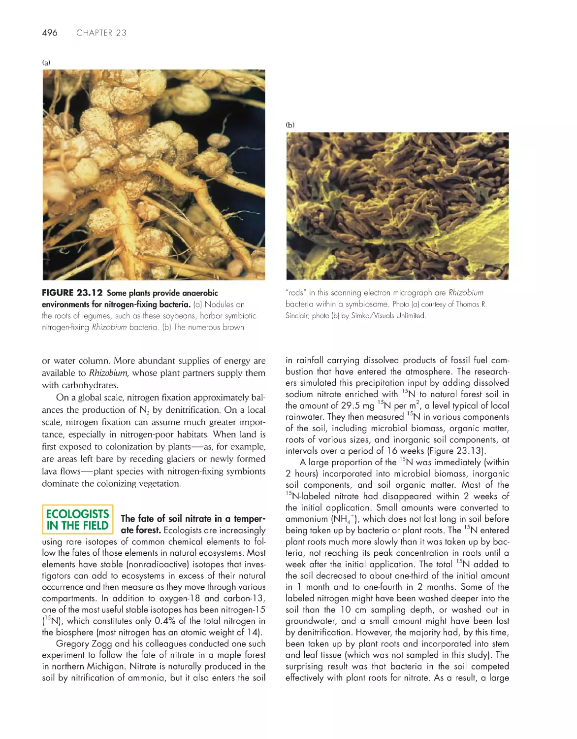 Ecologistsin the Field: The fate of soil nitrate in a temperate forest.