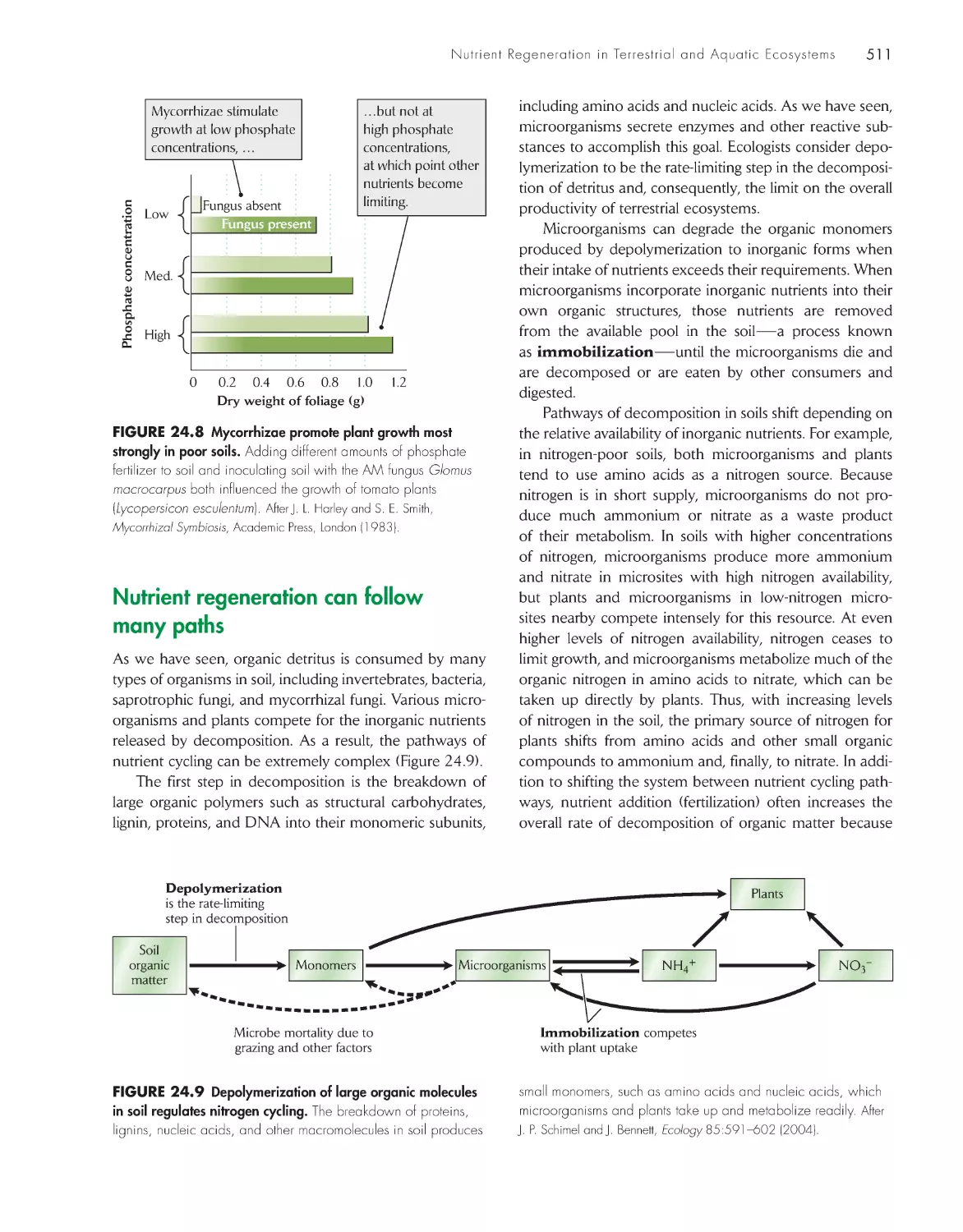 Nutrient regeneration can follow many paths