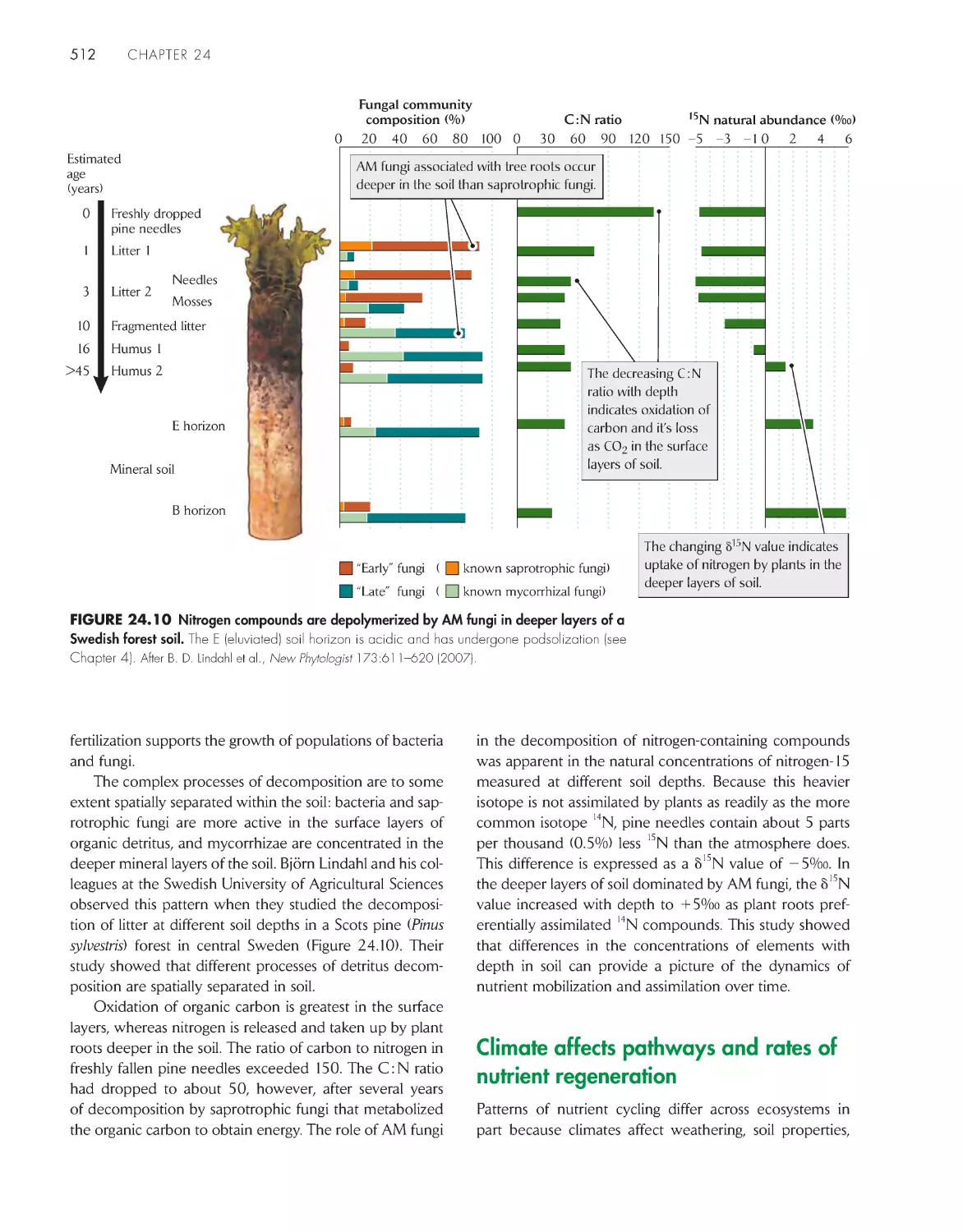 Climate affects pathways and rates of nutrient regeneration