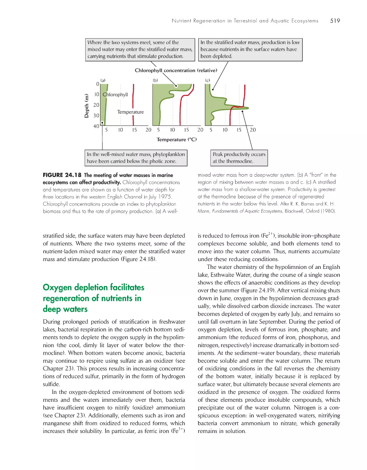 Oxygen depletion facilitates regeneration of nutrients in deep waters