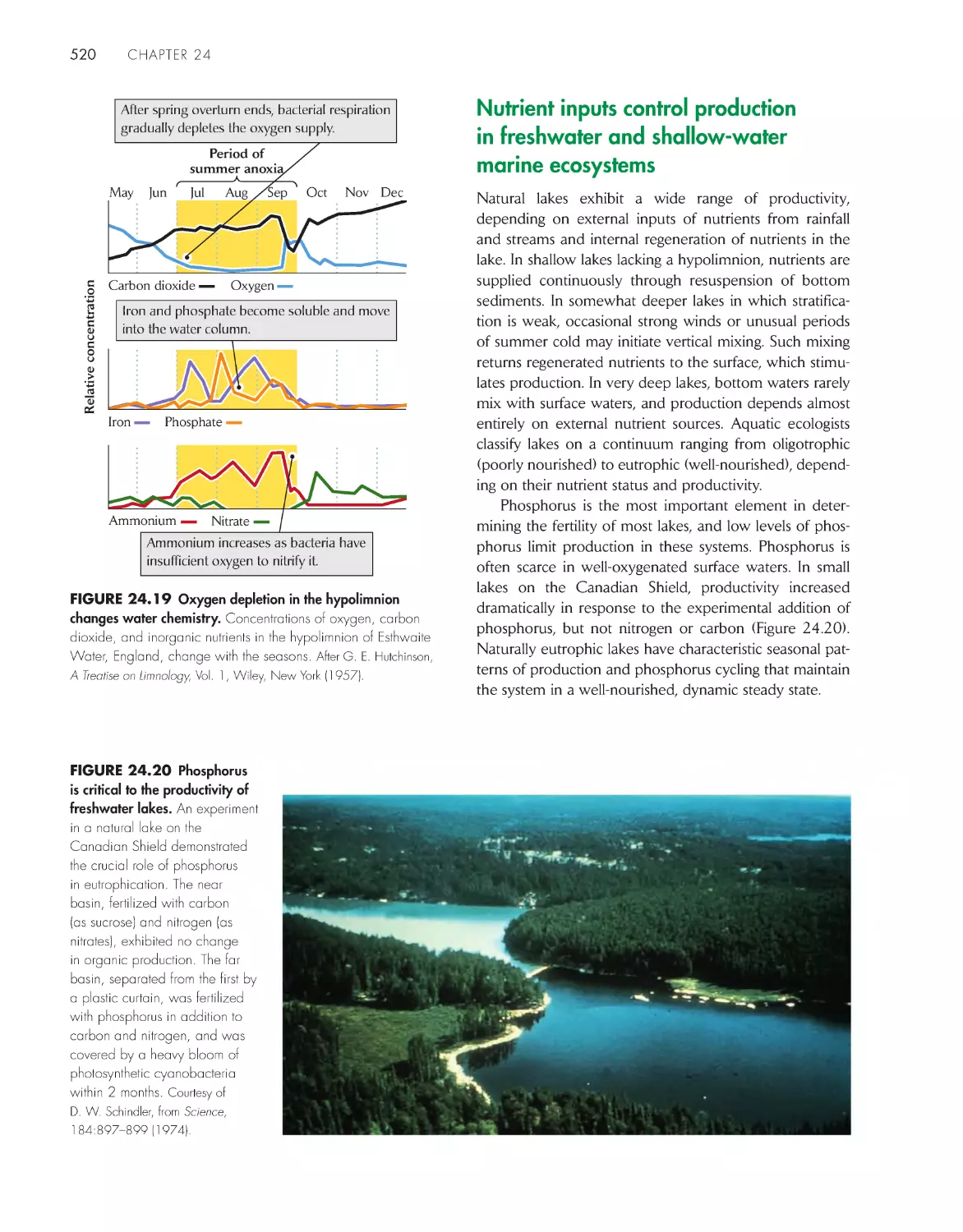 Nutrient inputs control productionin fresh water and shallow-water 
marine ecosystems