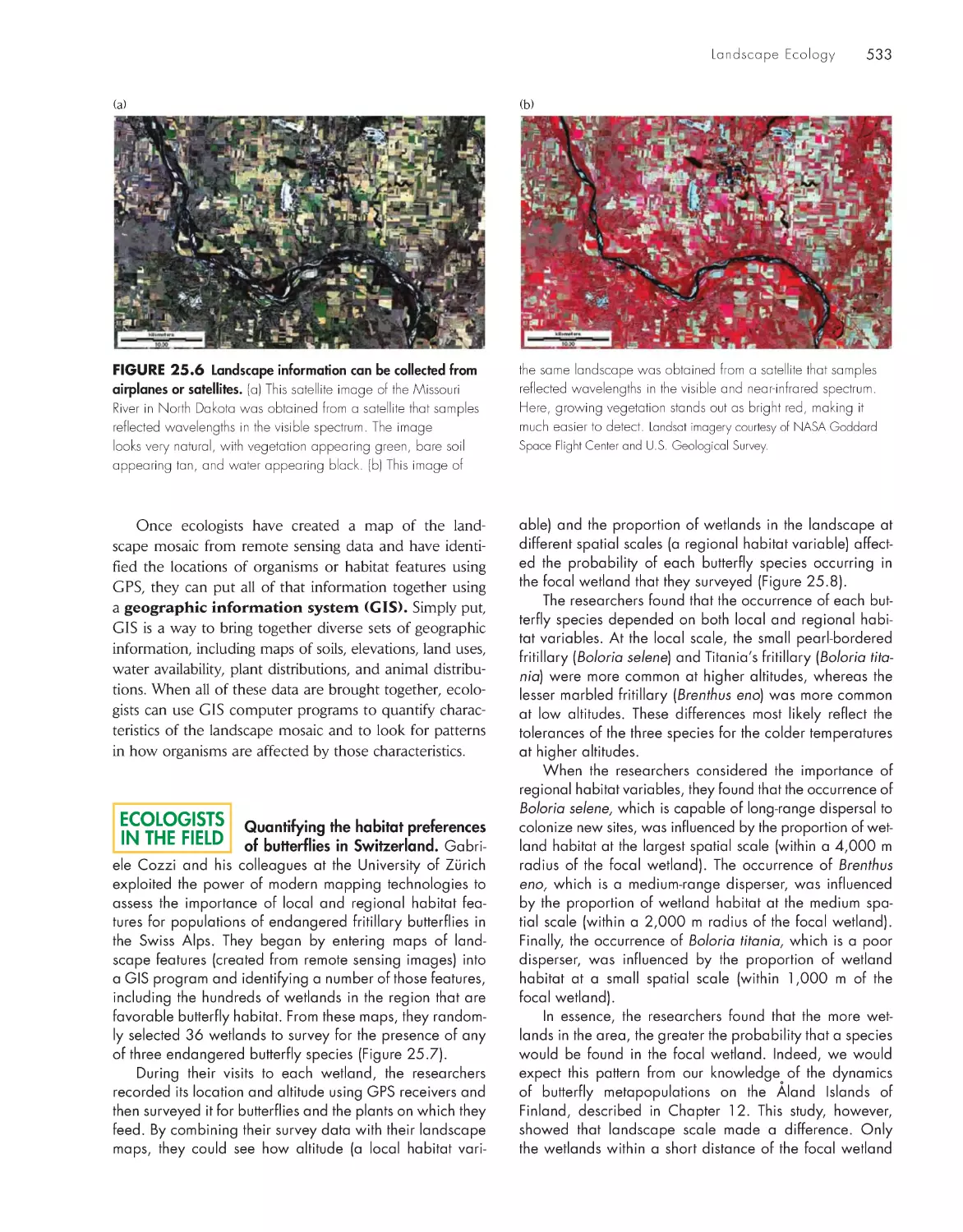 Ecologistsin the Field: Quantifying the habitat preferences of butterflies in Switzerland.