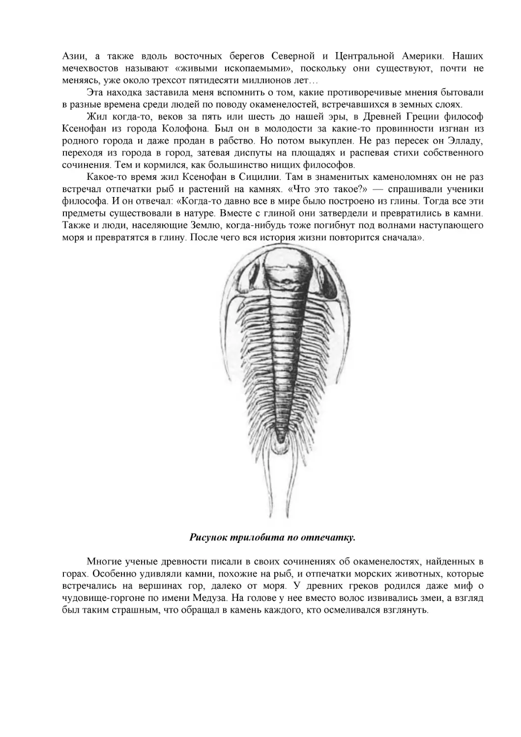 Рисунок трилобита по отпечатку.