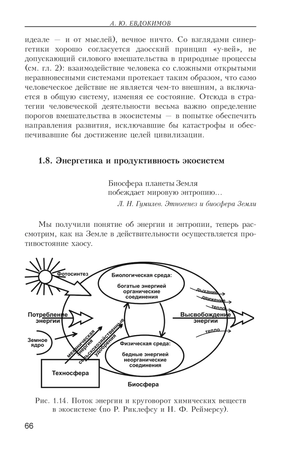 1.8. Энергетика и продуктивность экосистем