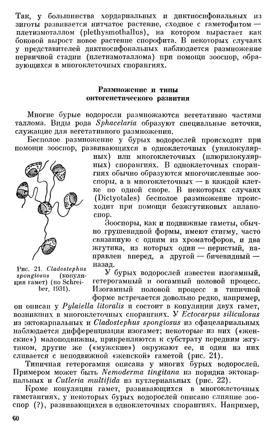 Размножение и типы онтогенетического развития