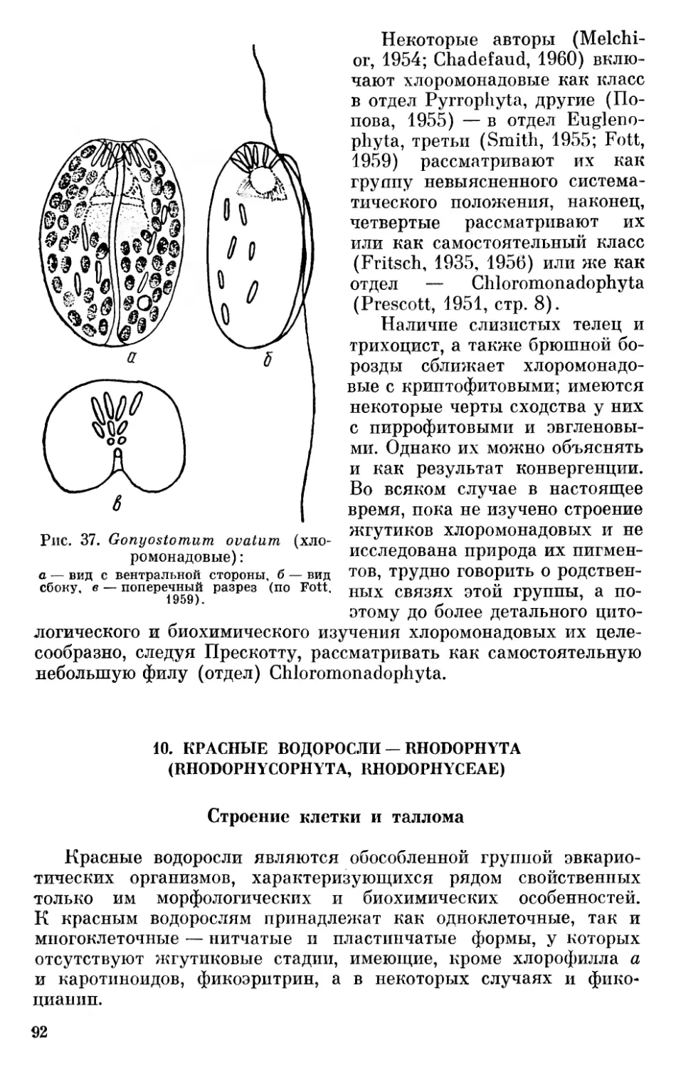 Строение клетки и таллома