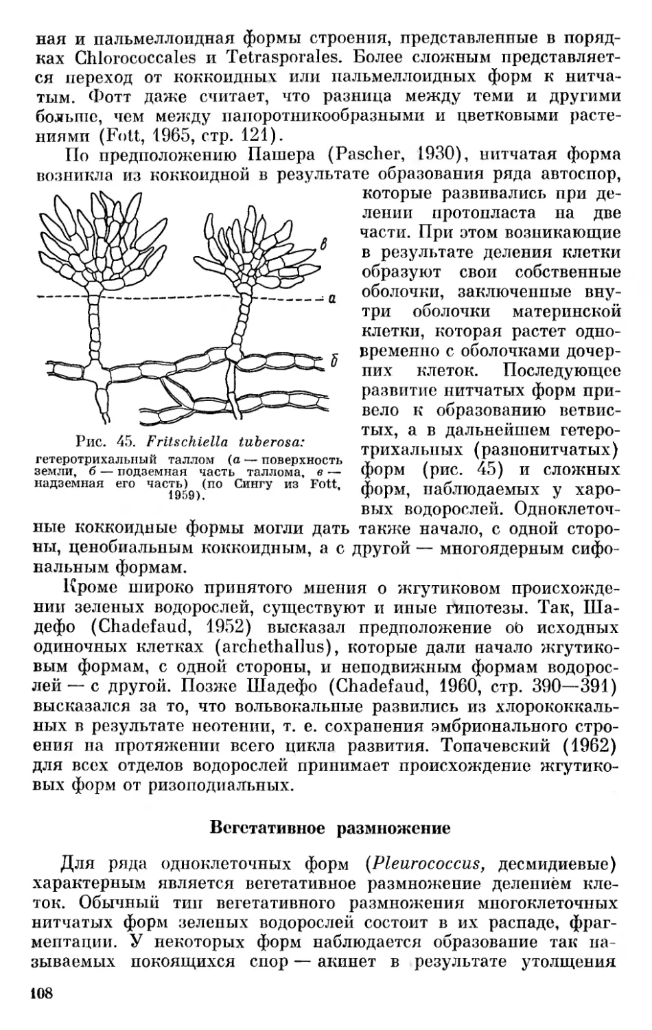 Вегетативное размножение