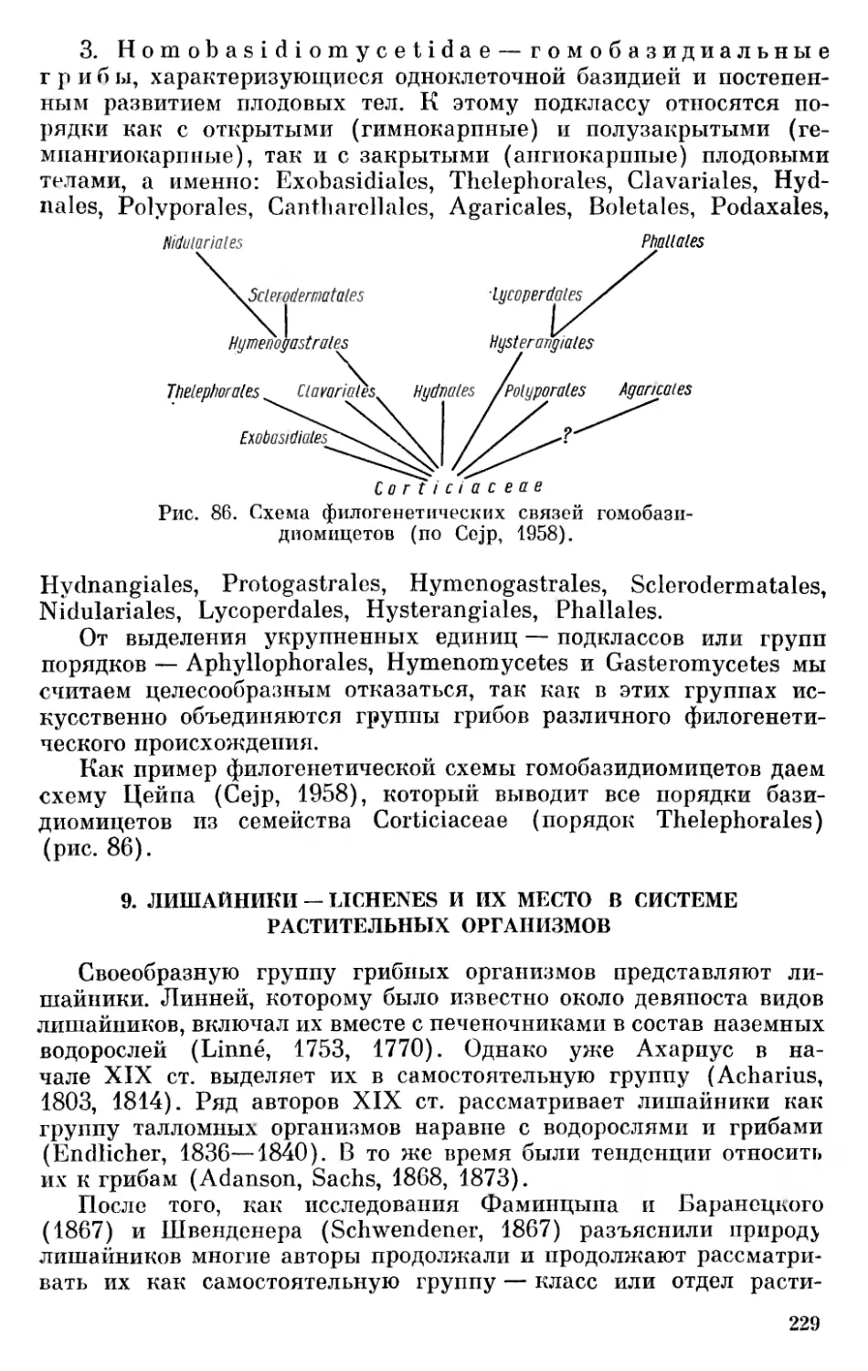 9. Лишайники — Lichenes и их место в системе растительных организмов