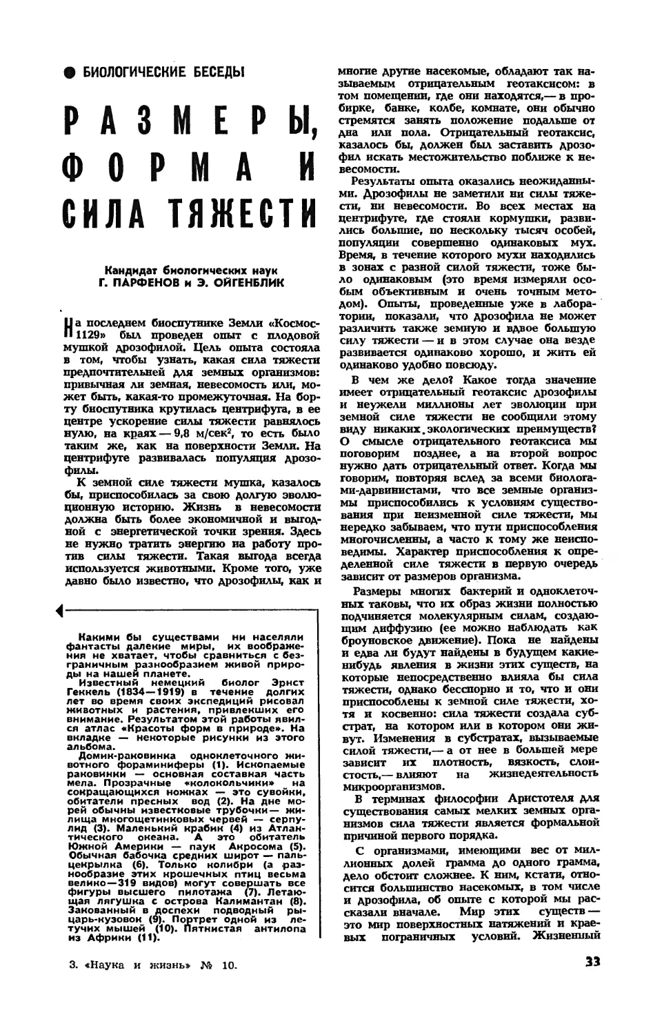 Г. ПАРФЕНОВ, канд. биол. наук, Э. ОЙГЕНБЛИК — Размеры, форма и сила тяжести