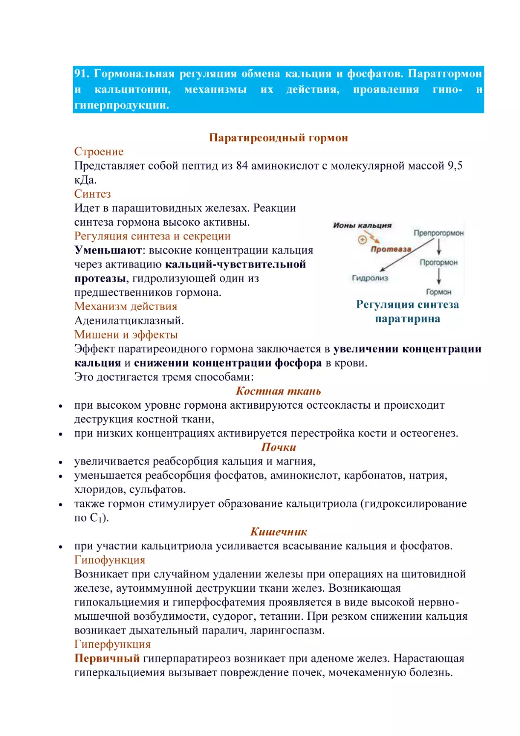 Паратиреоидный гормон
Строение
Синтез
Регуляция синтеза и секреции
Механизм действия
Мишени и эффекты
Костная ткань
Почки
Кишечник
Гипофункция
Гиперфункция