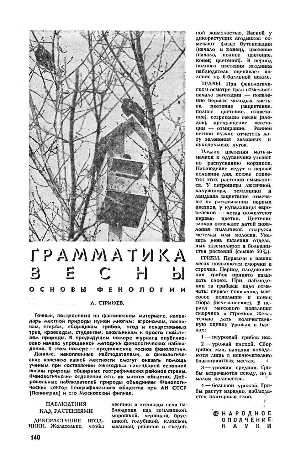 А. СТРИЖЕВ — Грамматика весны