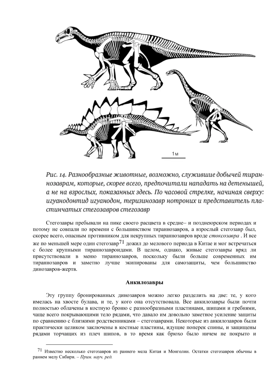 Анкилозавры