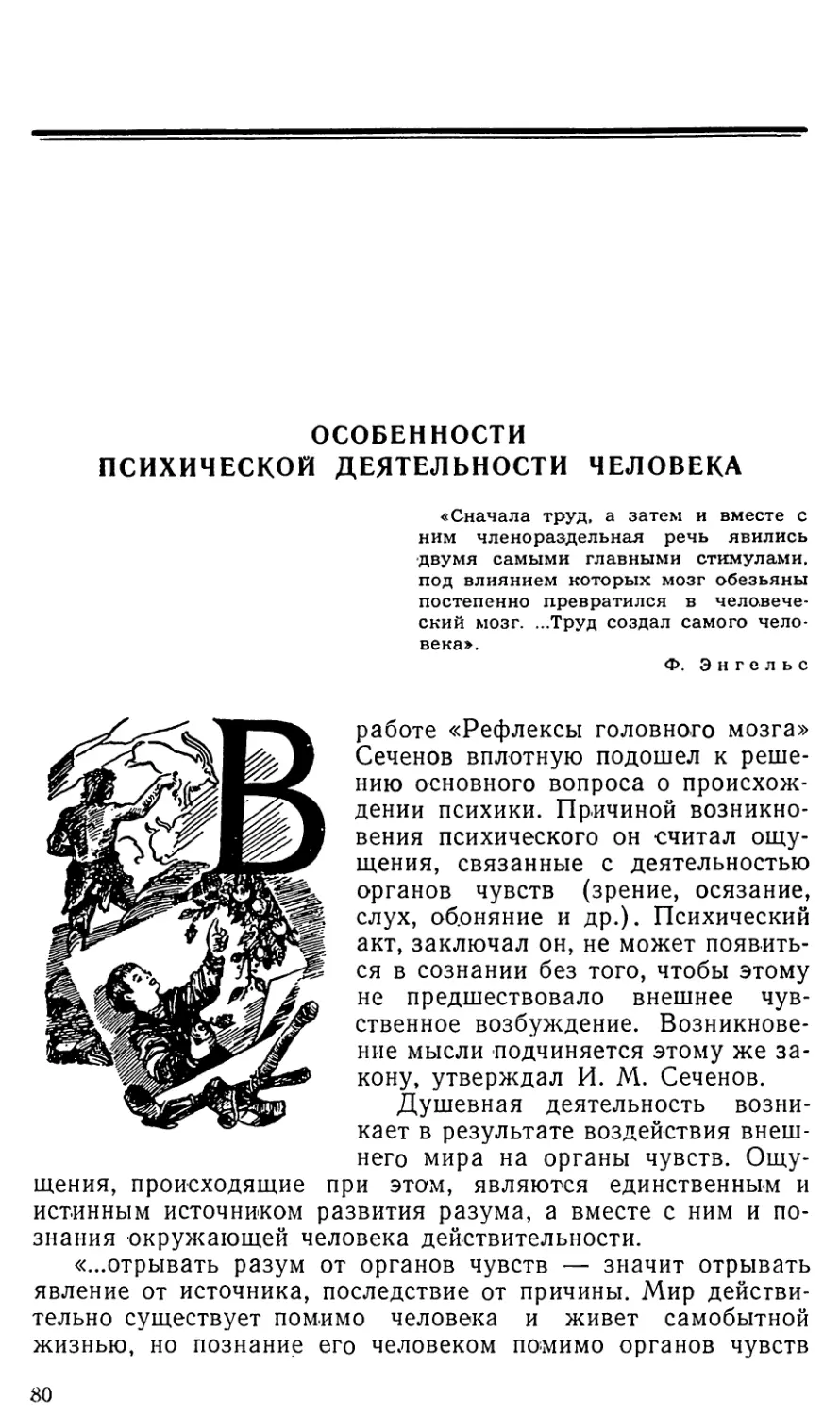 Особенности психической деятельности человека