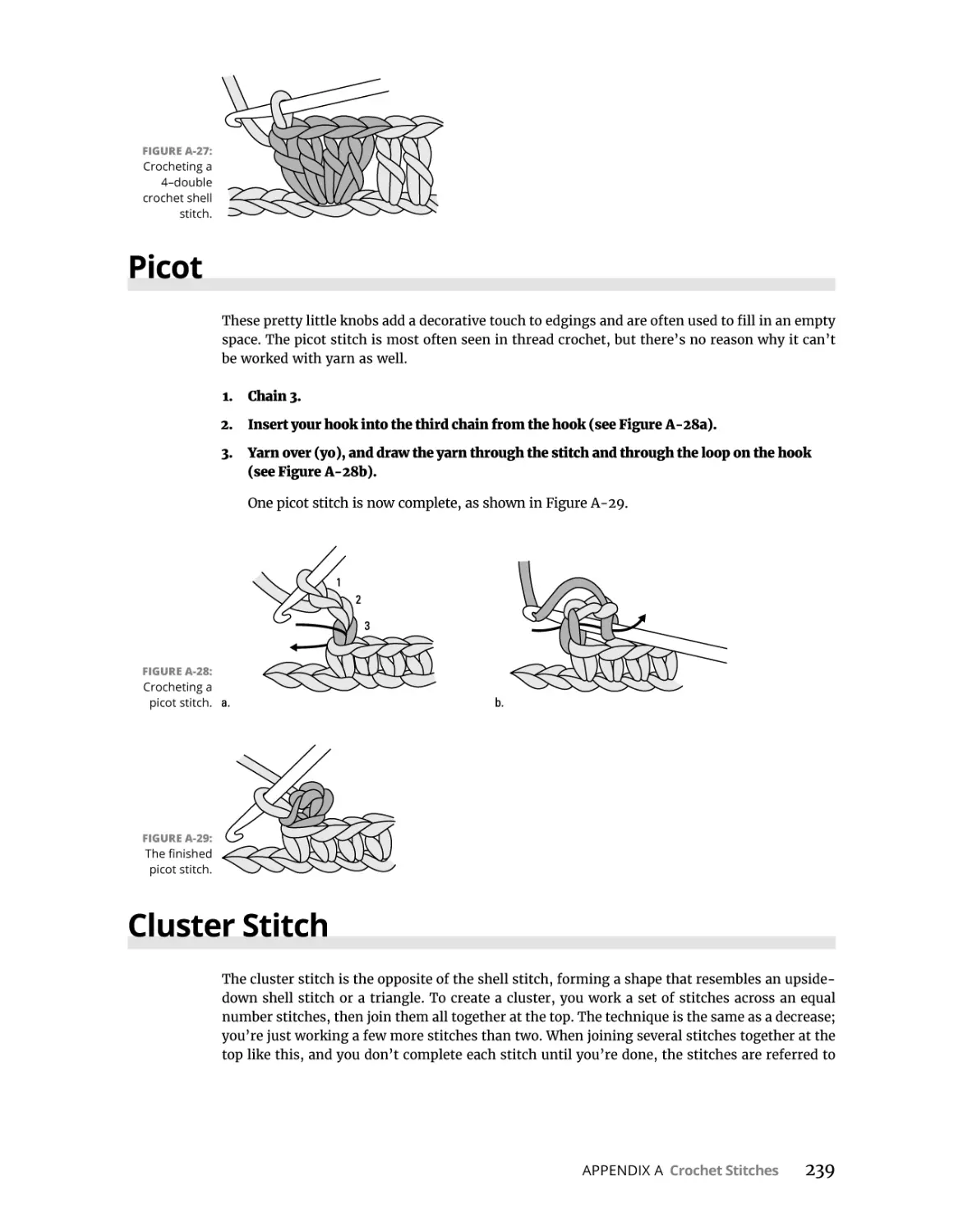 Picot
Cluster Stitch